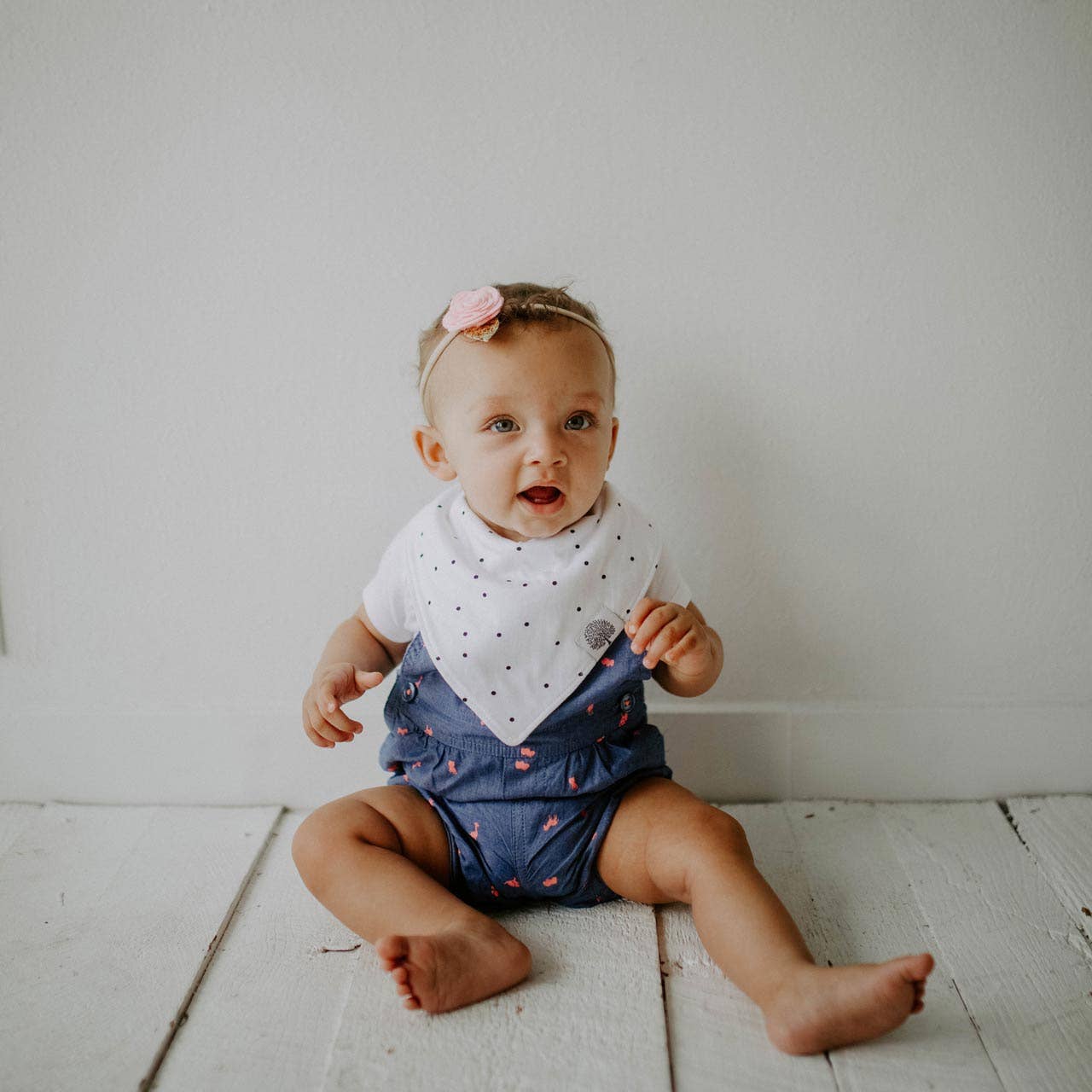 Lincoln Bandana Bib Set (4 Pack)
