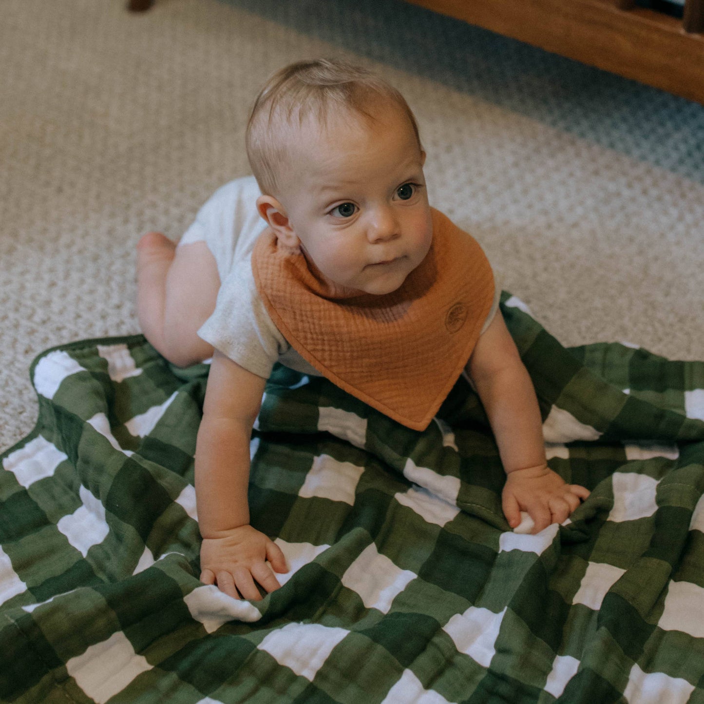 Estes Muslin Bandana Bibs Set- (4 Pack)