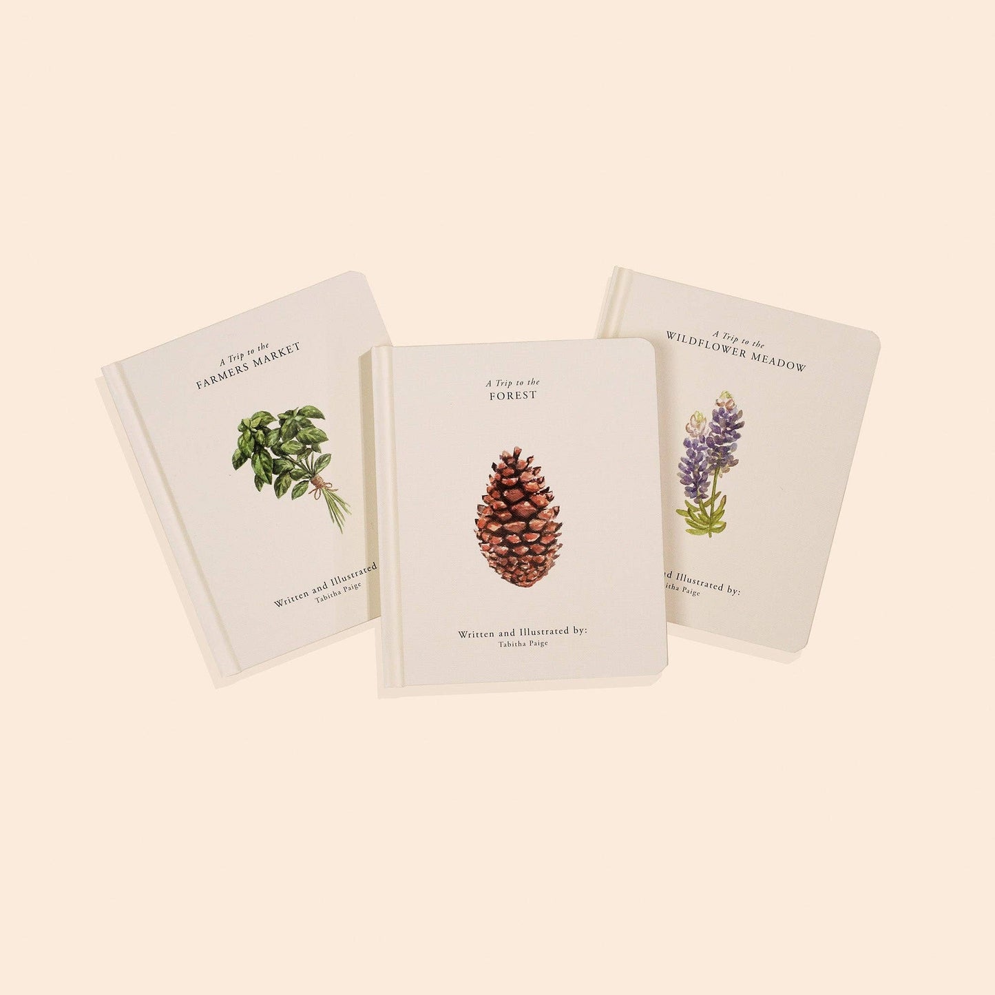 Our Little Adventures Box Book Set
