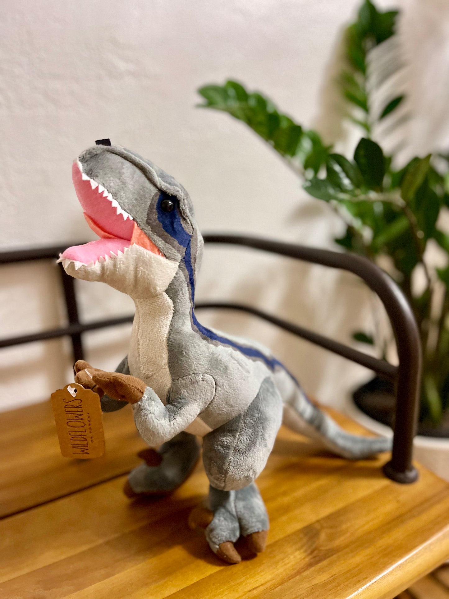Dinosaur Plush | Velociraptor