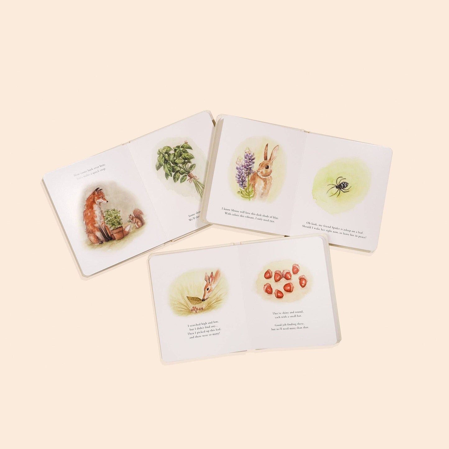 Our Little Adventures Box Book Set
