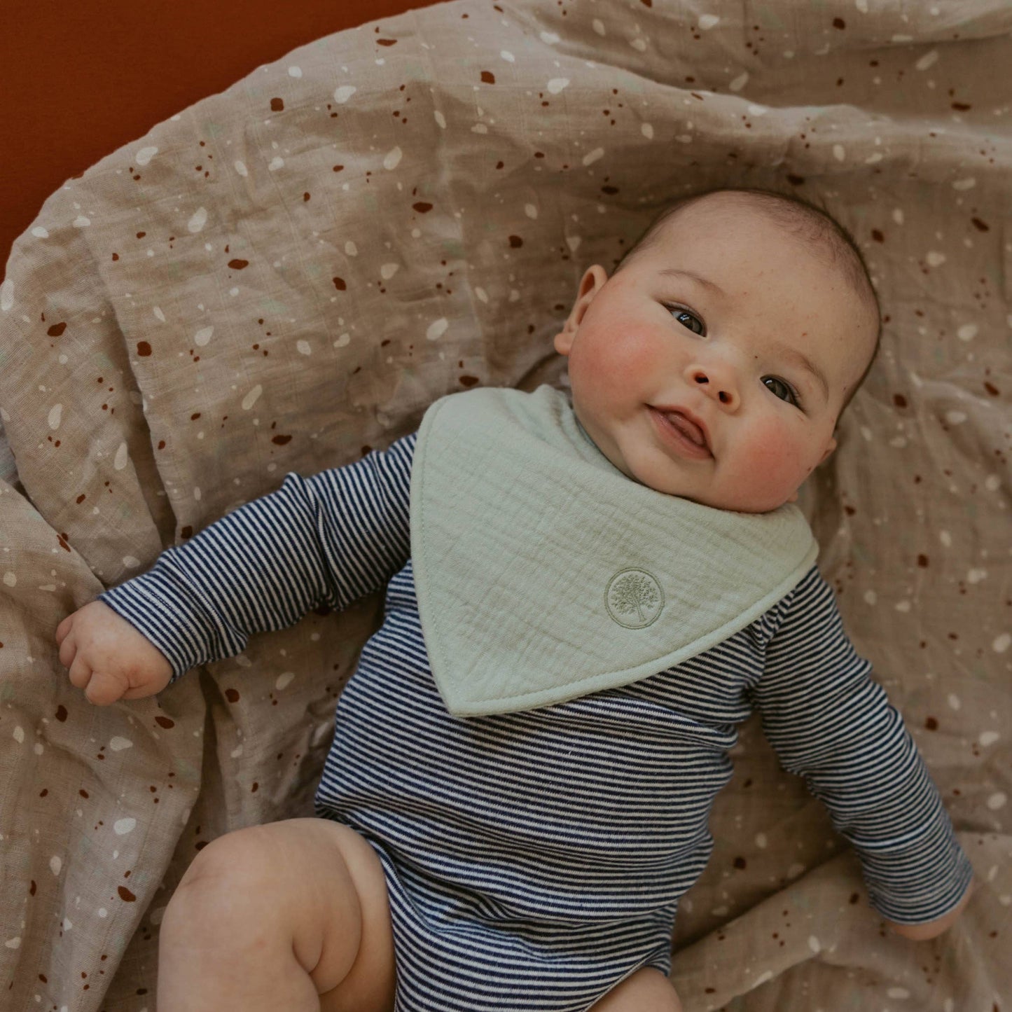 Pebble Muslin Bandana Bibs Set (4 pack)