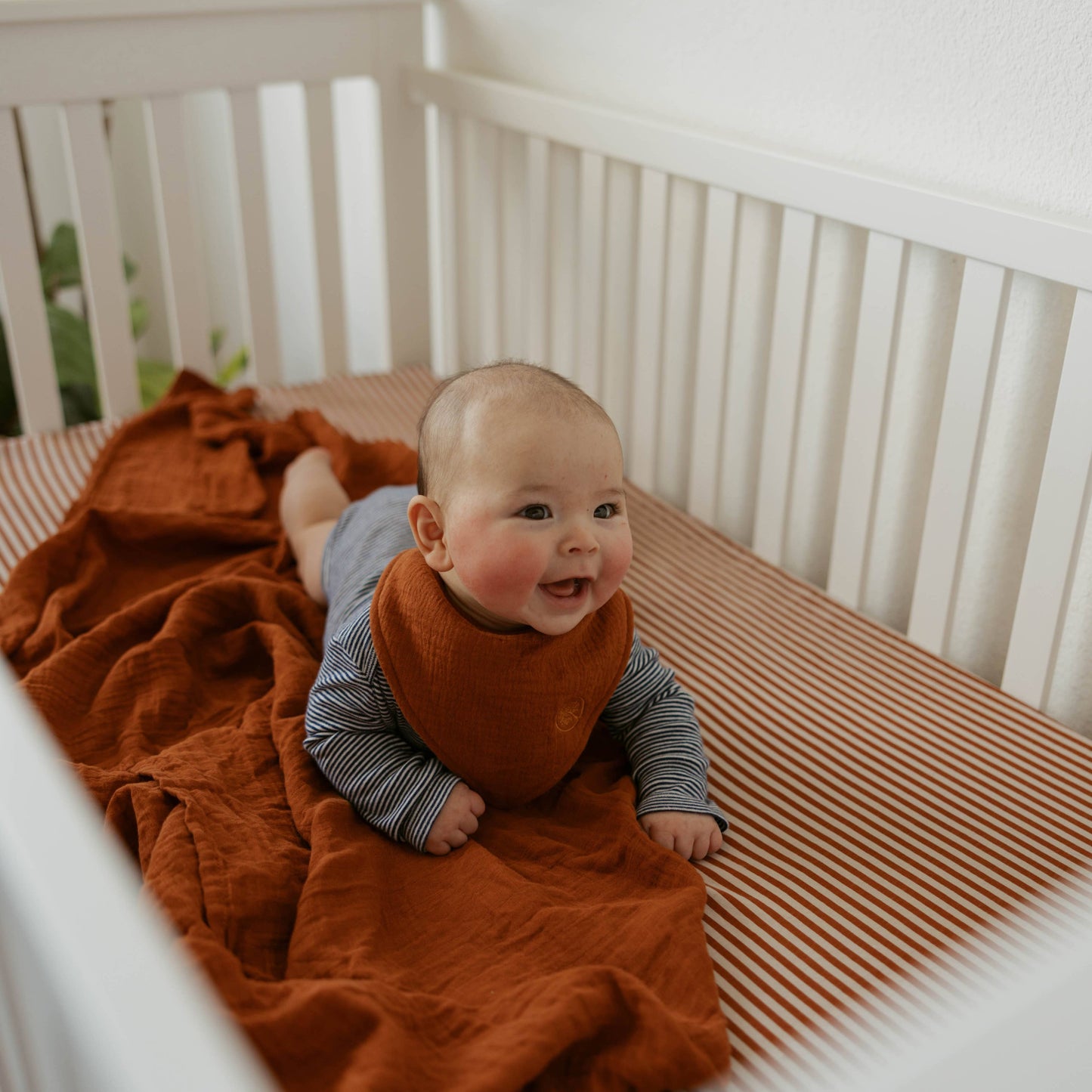 Pebble Muslin Bandana Bibs Set (4 pack)