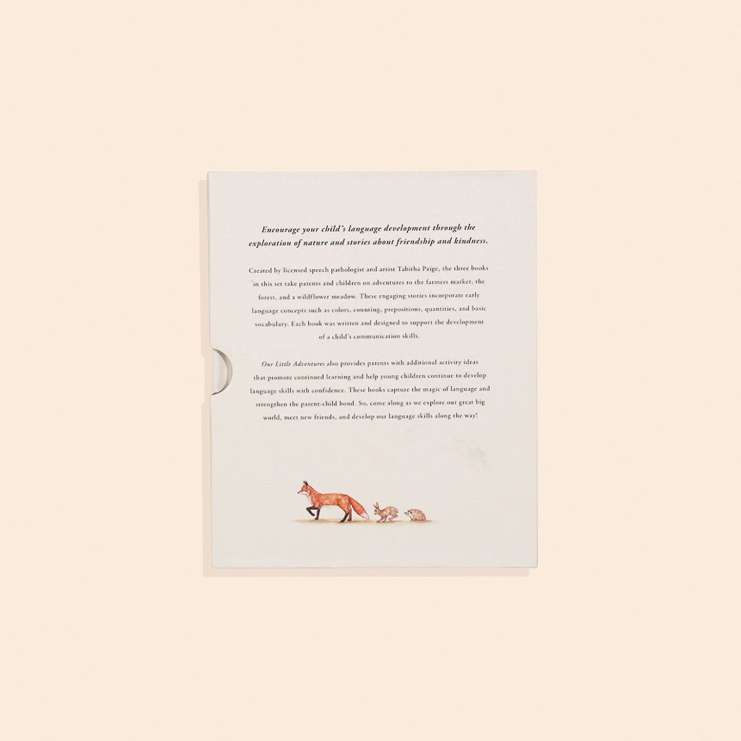 Our Little Adventures Box Book Set
