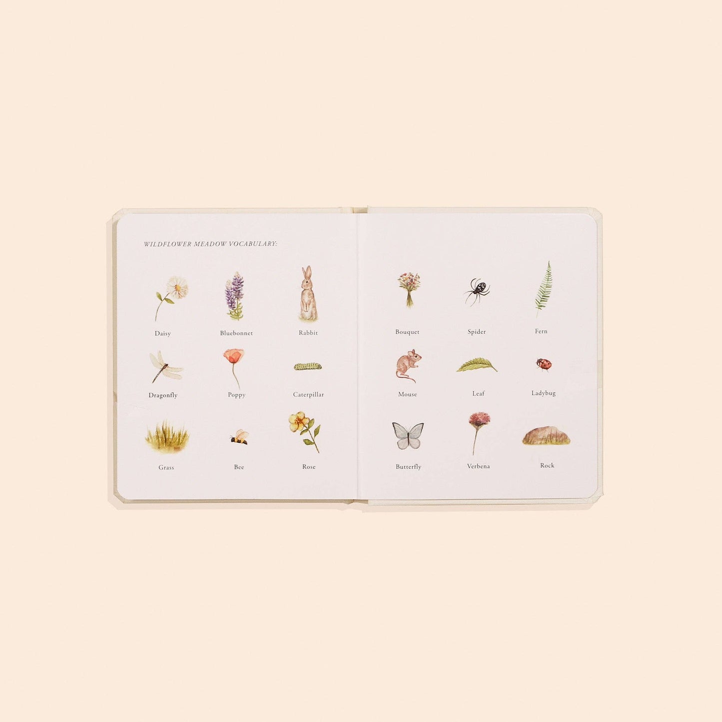 Our Little Adventures Box Book Set