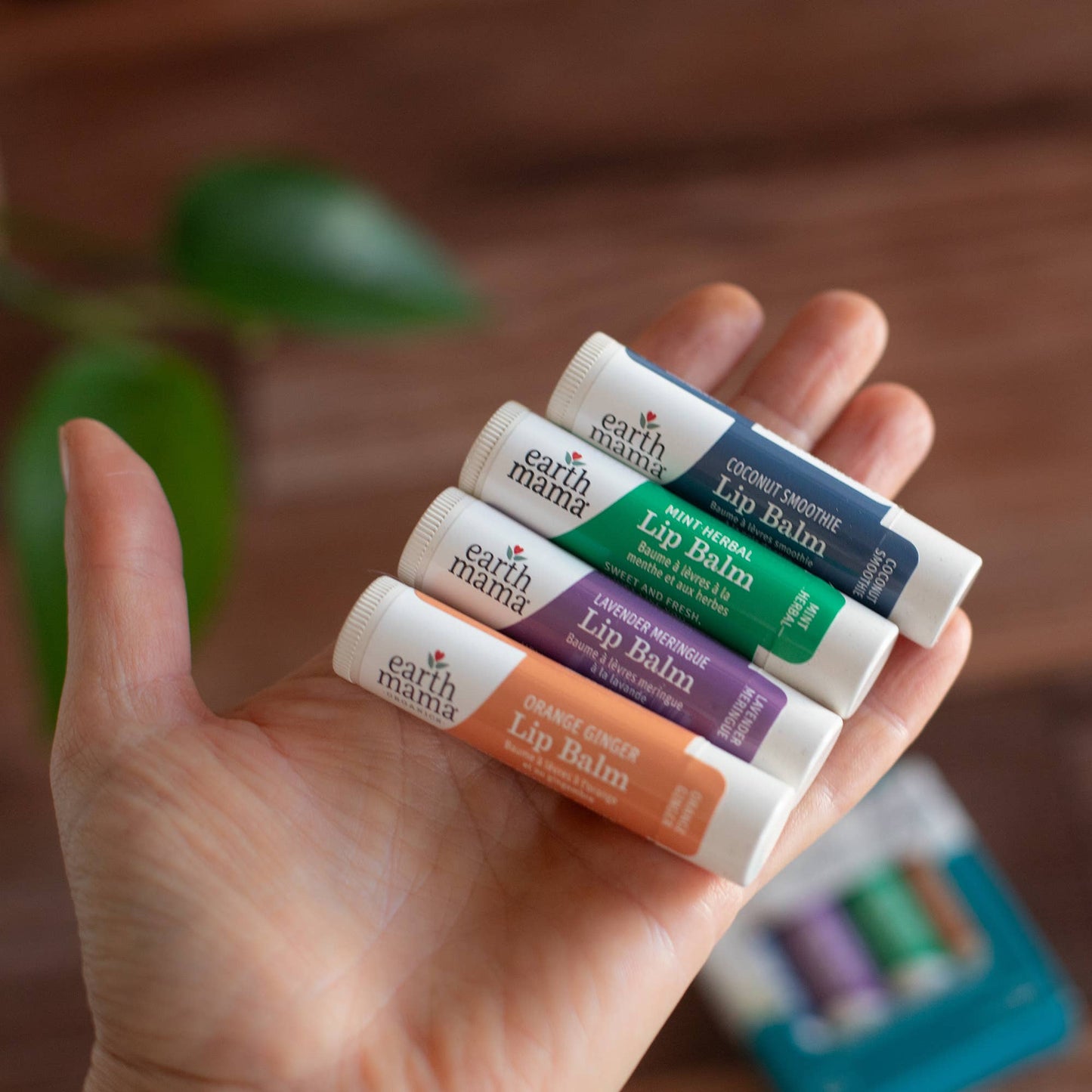 Lip Balm 4 Pack